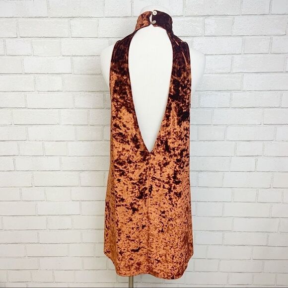 Show Me Your Mumu Velvet Mini Dress - Picture 5 of 8